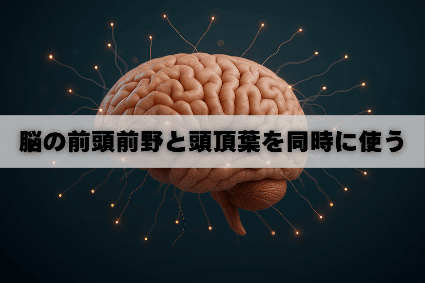 そろばんで集中力が鍛えらえる理由②
脳の前頭前野と頭頂葉を同時に使う